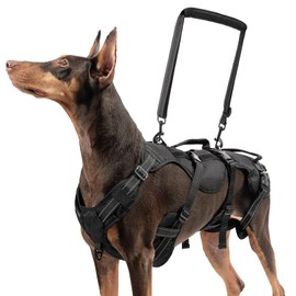 BINGPET Dog Lift Harness for Large Dogs,Full Body Support Rehabilitation Dog Sling Carrier with Handles,Reflective Multifunctional Mobility Assistance Vest for Senior Pets Joint Injuries,Arthritis,L