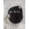 Lady Bug Rock, Get Well Gift, Ladybug Rock, Green Painted