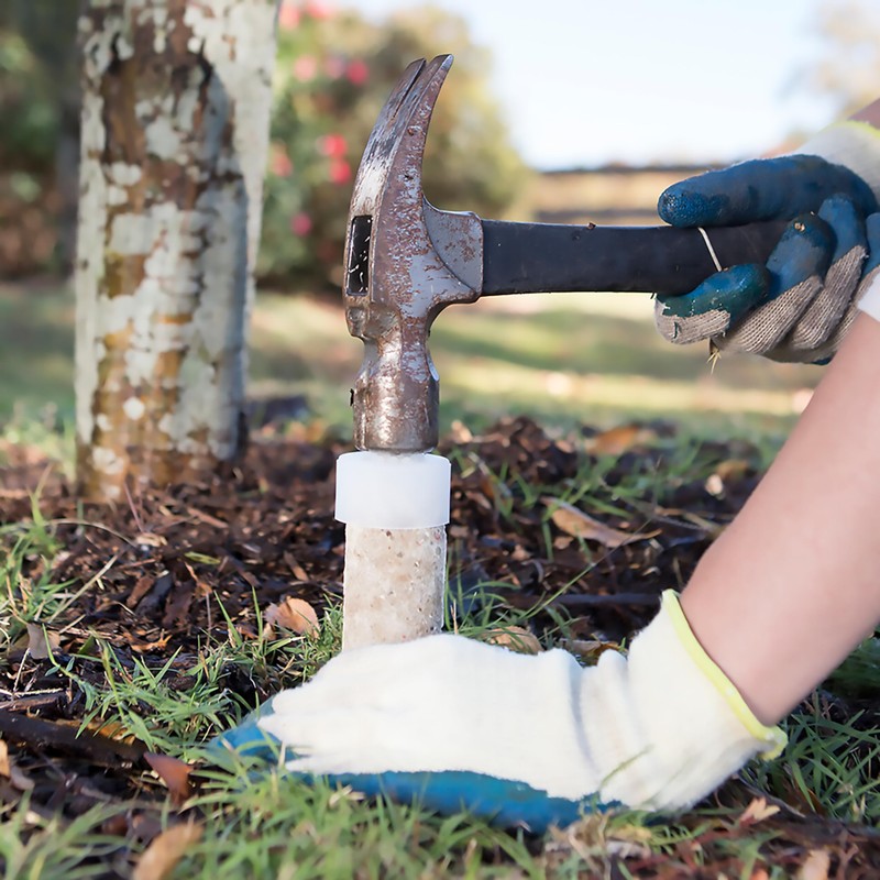 Jobe’s Slow Release Evergreen Fertilizer Spikes, Easy Plant Care for