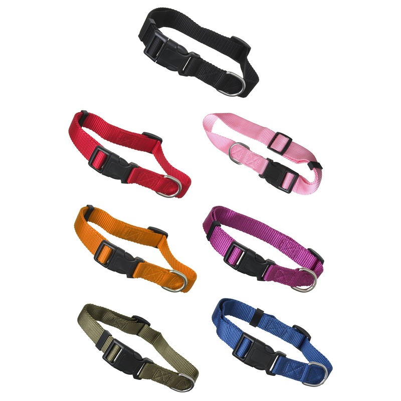 Nylon Dog Collar Collar Buckle with Security 1 (2.5 cm