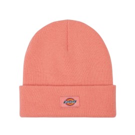 Dickies Gibsland Beanie One Size, Flamingo feather