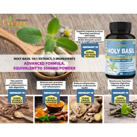 Holy Basil Extract Capsules 5000mg & Guduchi, Ginger, Turmeric Curcumin, Licorice | Support Immune, Energy Booster | Tulsi Leaf Herb Supplements, 3 Months Supply