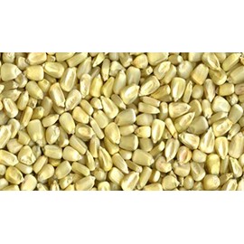 Mahindi Kenyan Whole White Corn