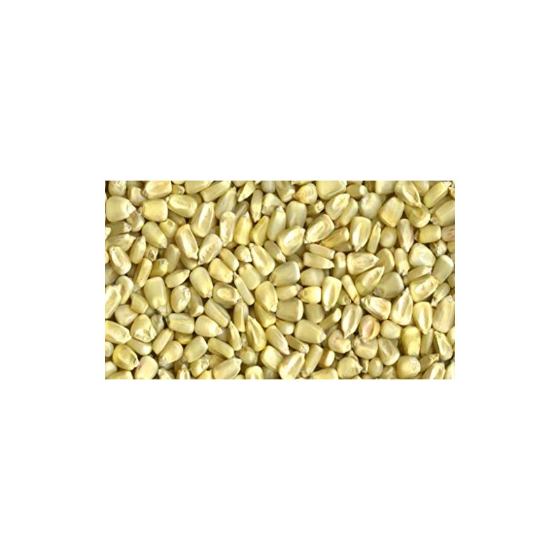 Mahindi Kenyan Whole White Corn
