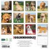 Just Goldendoodles 2025 12" x 12" Wall Calendar
