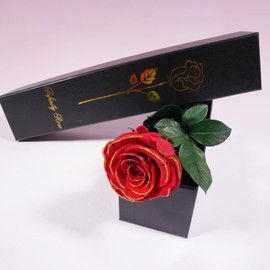 Yamonic Preserved Rose Gifts for Women,Eternal Real Rose with Stem Valentine's Day Gifts for Her, Birthday Gifts For Women, Eternal Flowers Gifts for Mum,Wife Gifts For Valentine's Day (2-Red+Gold)