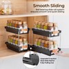 Delamu 2 Pack Pull Out Spice Rack Organizer for Cabinet,