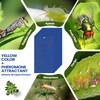 Qualirey 100 Pcs Double Sided Sticky Traps for Flying Plant