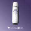 Goldwell Dualsenses Just Smooth Taming Shampoo for Unruly and Restless