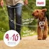 HALTI Training Lead (6'6") | Correa de instrucción para perros,