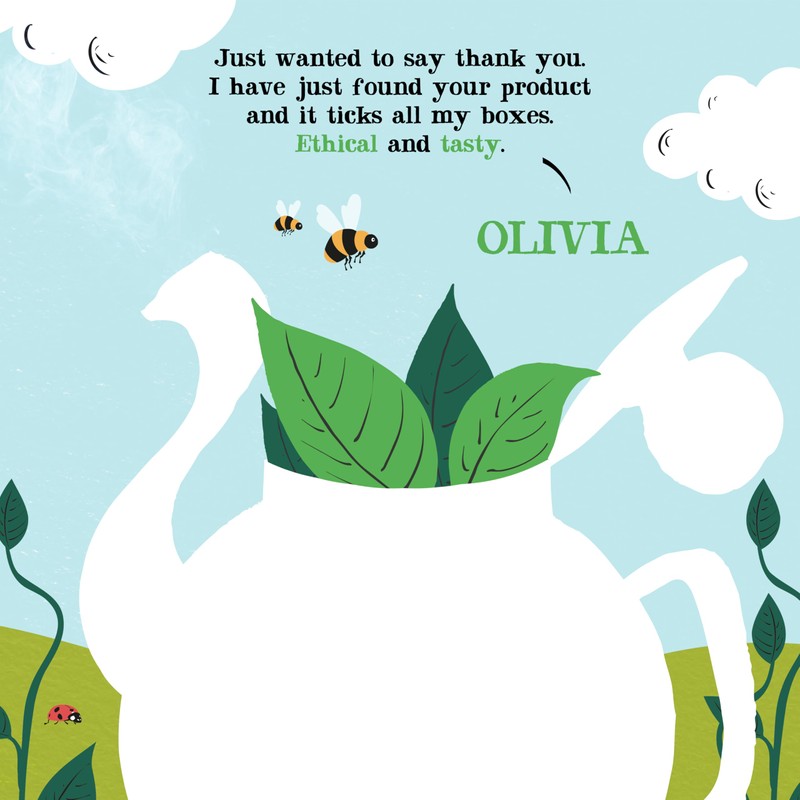 Clipper Organic Pure Green Tea, 20 teabags