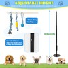Outdoor Dog Tug Toy, Durable Spring Pole, 3 Ropes &