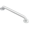 Moen Stainless Steel Wall Mounted 24-Inch Bathroom Grab Bar for