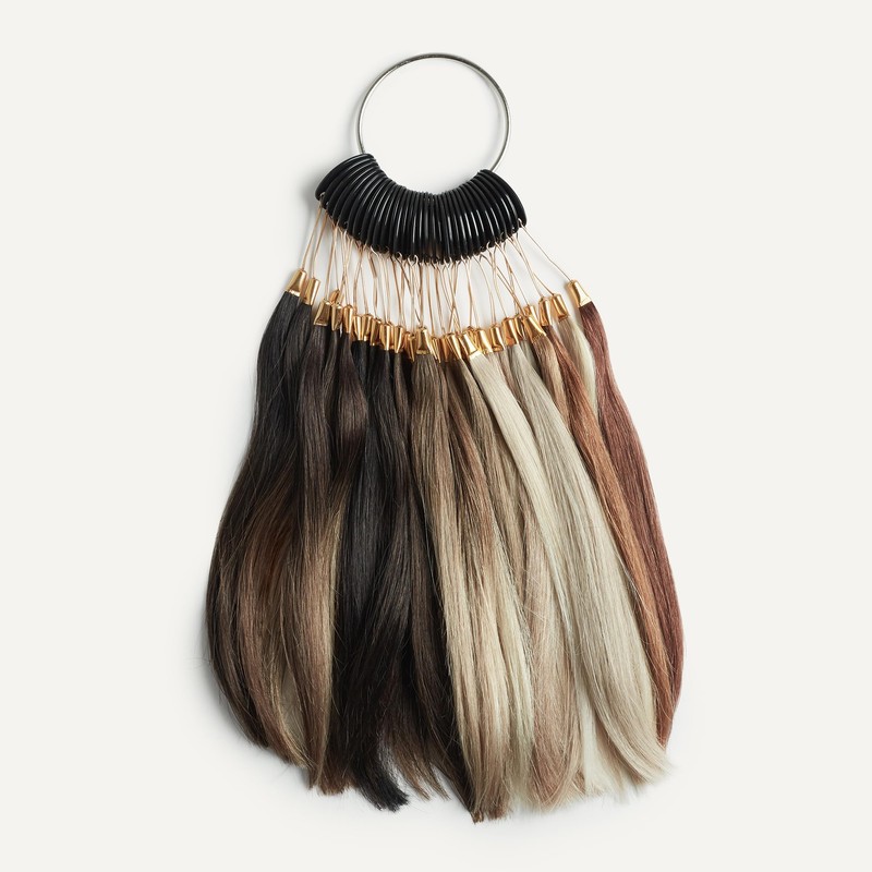 Light Gray Single Hair Color Sample