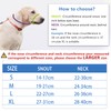 ILEPARK Dog Muzzle with Rounded Mesh, Breathable Muzzle for Small,