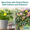 Safer Brand 5026 Houseplant Sticky Stake Insect Traps for Indoor