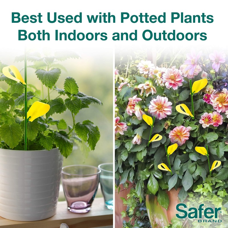 Safer Brand 5026 Houseplant Sticky Stake Insect Traps for Indoor