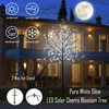 LED Solar Lighted Cherry Blossom Tree,6Ft Light up Cherry Tree