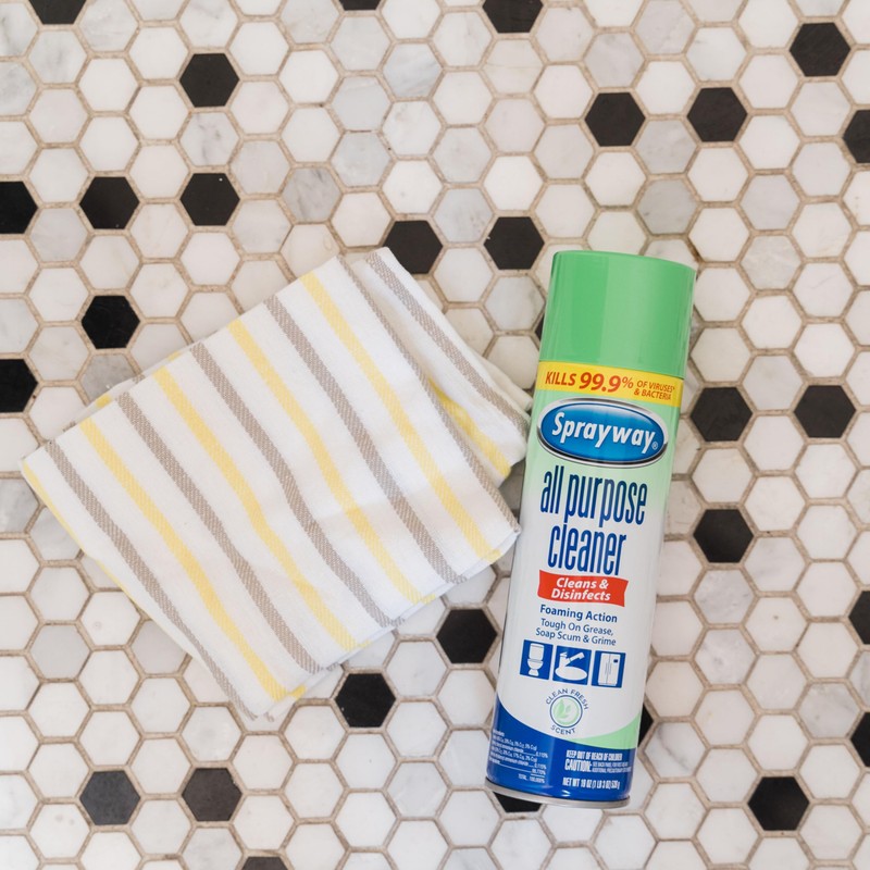 Sprayway All Purpose Disinfectant Cleaner, Foaming Action, 19 Ounce