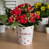 GRUSS & CO 48243 Flower Pot with Human Motif, Stoneware,