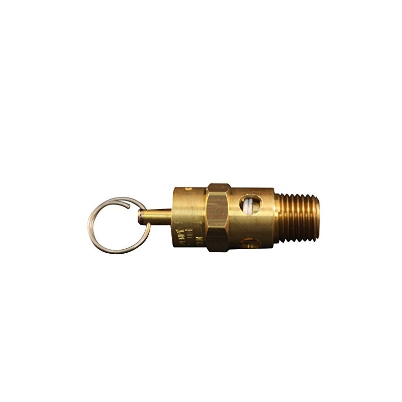 Milton S-1090-150 1/4" MNPT ASME Safety Valve - 150 PSI