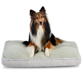 FluffyDream Dog Bed for Medium Dog, Super Soft Pet Bed Mat, Suitable for Dogs Up to 65lbs, 36'' x 27'', Mint