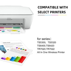 260XL Black Ink Cartridge (2 Pack) Replacement for Canon 260 PG-260 PG260 XL PG260XL Black Work for Canon TS6400 TS6420a TS6420 TR7020a TS5320 TS5300 TR7020 TR7022 Printer, High-Yield