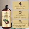 Handcraft Blends 100% Pure Castor Oil - Huge 16 OZ
