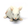ZOOCRAFT Ceramic Mouse Rat Figurine White Animal Hand Painted Porcelain