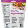 Fresh Gourmet Wonton Strip Garlic Ginger 3.5 Ounce (Pack of