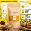 250 g Sunflower Lecithin | Pure Lecithin | High Bioavailability