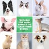 Toalla Guante Hipoalergenico Natural Limpieza Perros Y Gatos