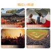 Binoculars for Concerts, Opera Glass, For Lives, Theaters, Vibration Resistant,