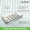EcoPest Bed Bug Detector - 6 Pack | Early Detection