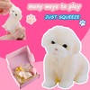 QCROAD SQUISHY QCROAD SQUISHY Puppy Paws Taba Squishy - Ultra