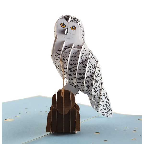 iGifts And Cards Magical Owl 3D Pop up Greeting Card Animal, Zoo, Bird, Cute, Nocturnal, Fun, Half-Fold, Happy Birthday, Just Because, Graduation, Love, Friendship, Thank You, Special Occasion, BFF