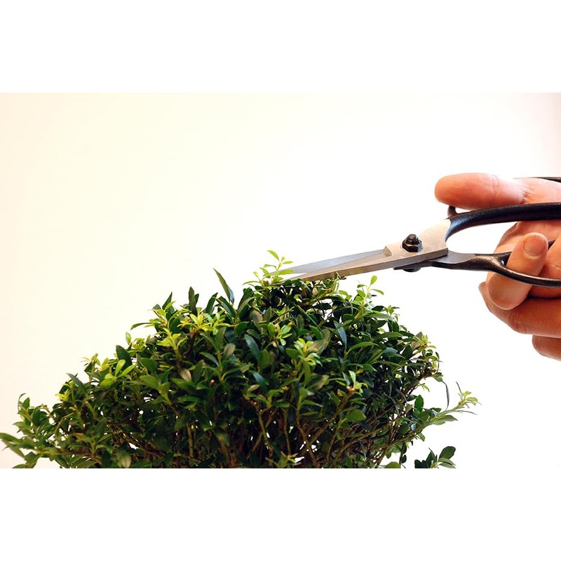 200 Okatsune Plant Shears A Type Long 90 BP Included,