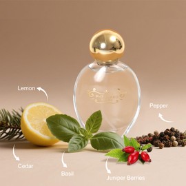 PHRAGARO Unisex Eau de Parfum Spray – Inspired by Designer Fragrance – Woody Citrus Scent with Lemon, Basil, Cedar, Juniper – Long-Lasting Perfume Alternative – 1.7 Fl Oz / 50ml