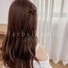 Herbeluemily HM-0063-R03-BE Barrette, Hair Ornament, Tortoise Shell Hair Clip, Stylish,
