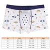 Circumcision Underwear for Kids PTE Protective Cover Anti Extrusion Dinosaur