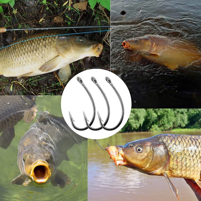 200PCS Carp Fishing Hooks Curve Shank Barbed and Barbless Carp