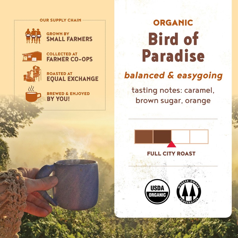 Equal Exchange Organic Coffee, Bird of Paradise Bulk Coffee, 5