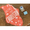 Charleston, South Carolina Postcard