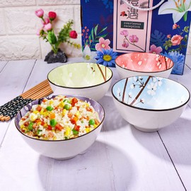 LMRLCS - Juego de 4 cuencos y palillos japoneses para arroz con caja delicada de cerámica para sopa y aperitivos, incluye cuatro colores