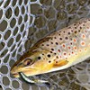 Fishing Lure Set, Vmsixvm, Fishing Tackle Set, Management Fishing Sites,