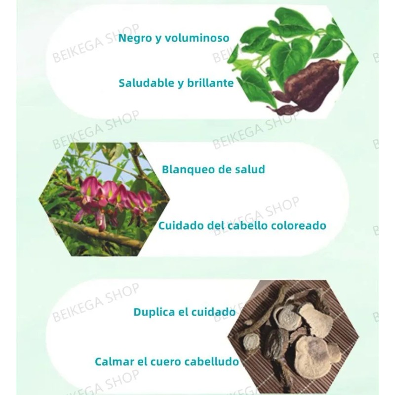 Shampoo Tinte Instantaneo Cubre 500ml Canas Natural Jengibre