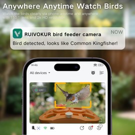 Bird Feeder with Camera with Solar Panel, Smart Bird Feeder Wireless Outdoor with Ai Identify 11000+ Birds Species, 2k Hd Video Live Stream View, Instant Arrival Alerts, Gifts