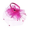 FELIZHOUSE Fascinators for Women Tea Party Hat Birdcage Veil Feather