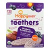 UD_Happy Baby Teethers Organic Silicone Teether Gentle Blueberry Purple Carrot