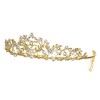 SAMKY Flower Leaf Crystal Pageant Bridal Tiara Crown - Clear